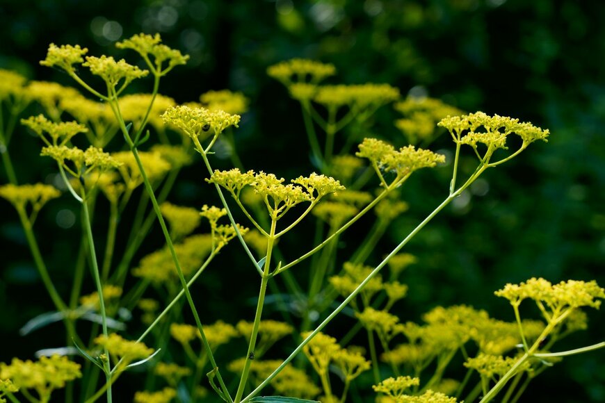 High Mountain/shutterstock.com