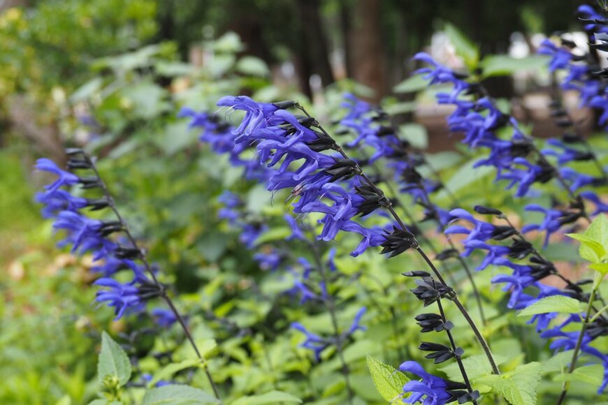 pote-poteco/shutterstock.com