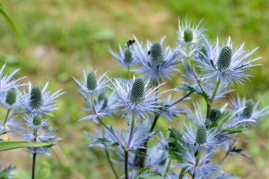 S.O.E/shutterstock.com