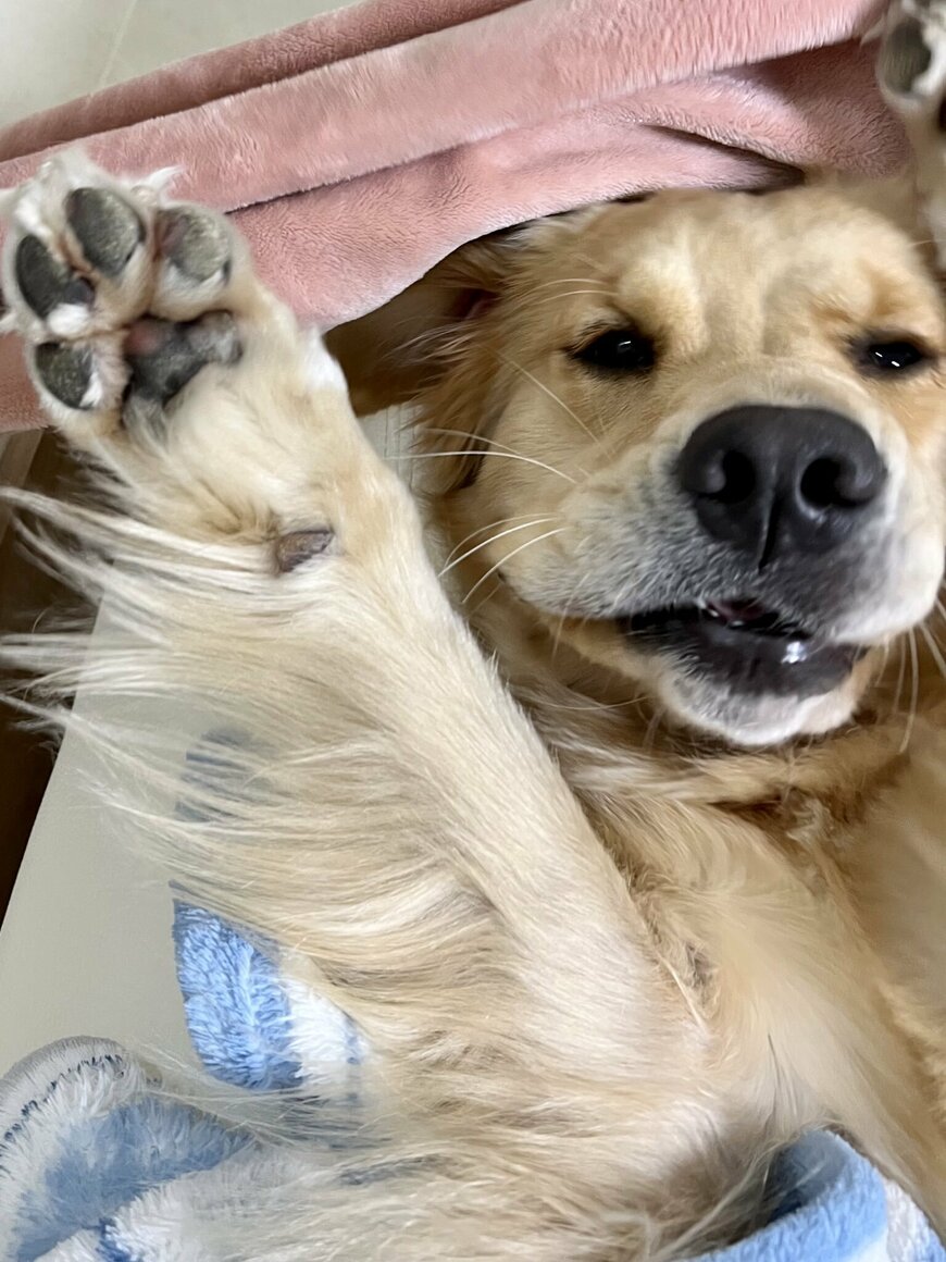 出所：@pu_channeldesu