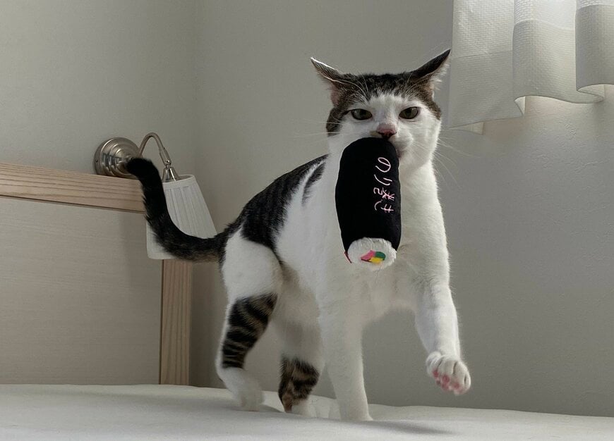 出所：@Saeroyi_cat