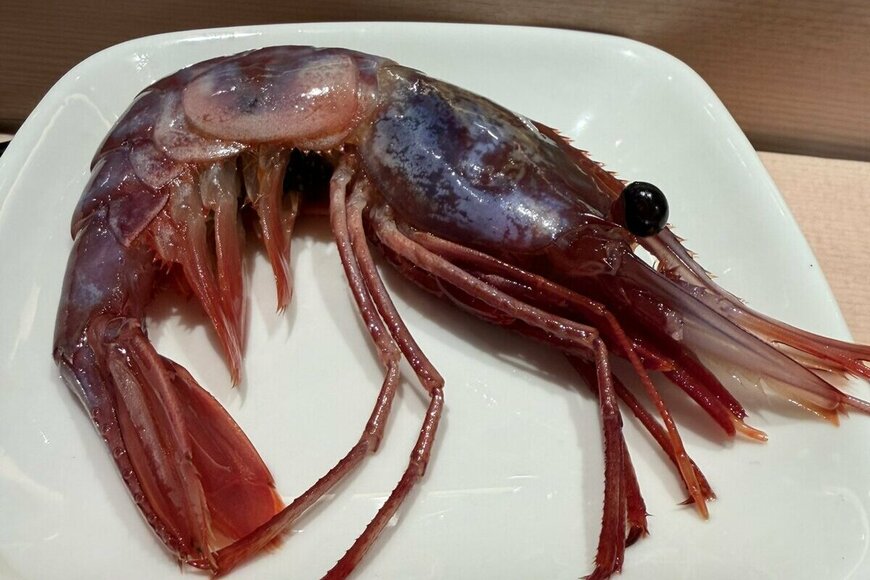 新千歳空港の立ち食い寿司で「エビ」を注文→大将の言動に違和感…判明した「とんでもない事実」に仰天