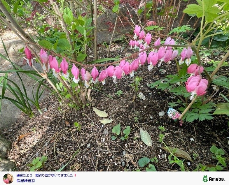 出所：假屋崎省吾の公式ブログ　参照日：2026年4月15日