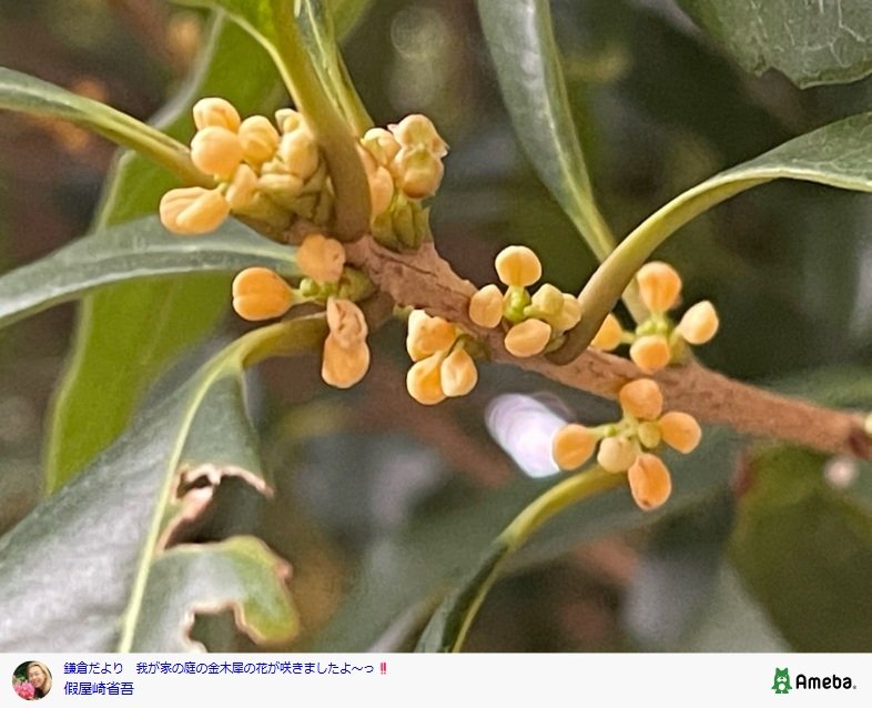 出所：假屋崎省吾のAmebaブログ 参照日：2025年10月8日