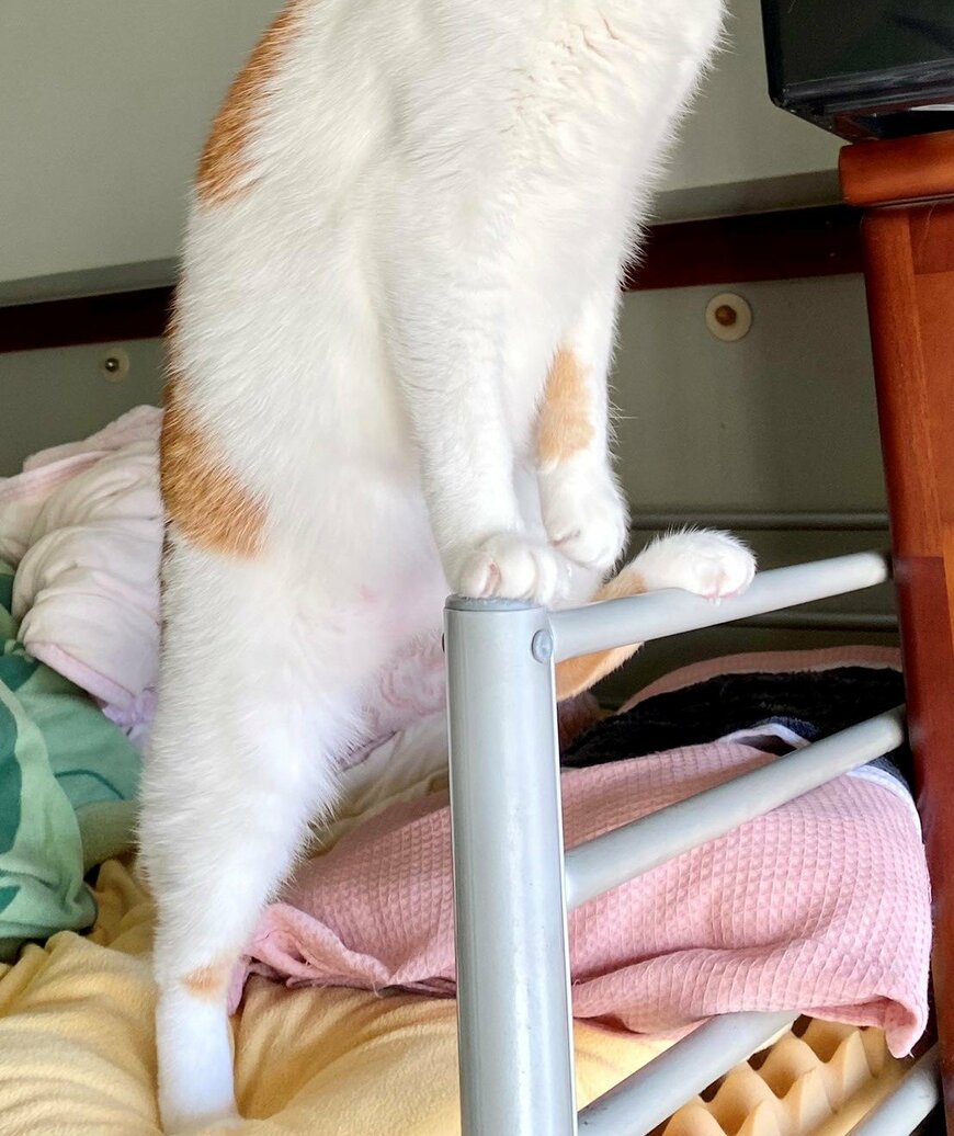 出所：@luna7taka9