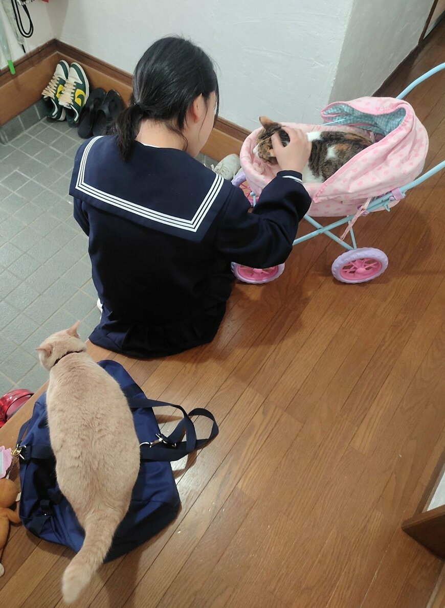 出所：@naokowatanabe5