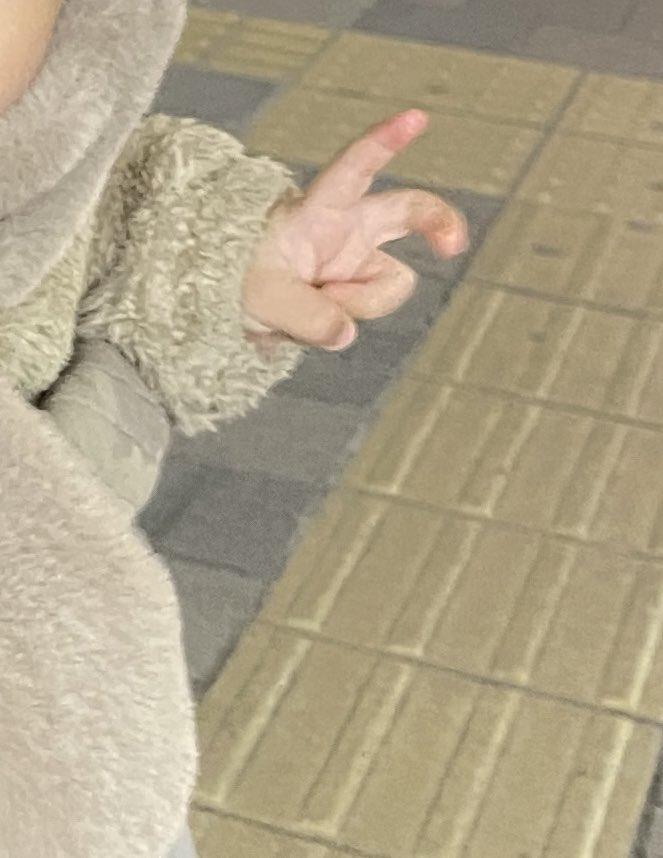 投稿写真