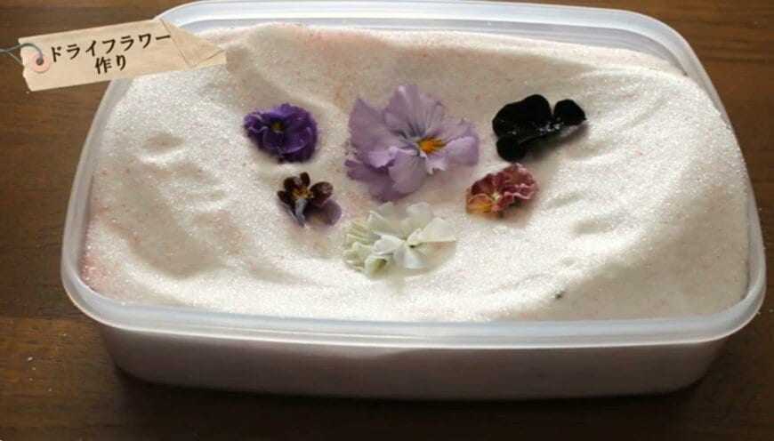 @チェリーガーデン