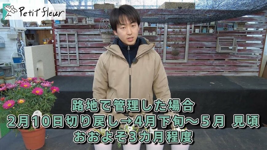 プチ・フルール（@petit_fleur）さん投稿動画のキャプチャ