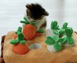 ちっちゃな子猫のにんじん屋さん　5年後の立派に成長した姿にほっこり