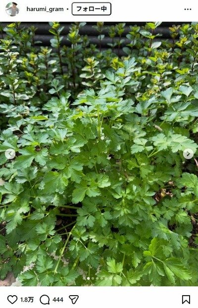 栗原はるみのInstagram投稿