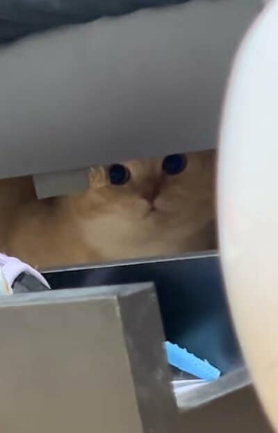 投稿の画像