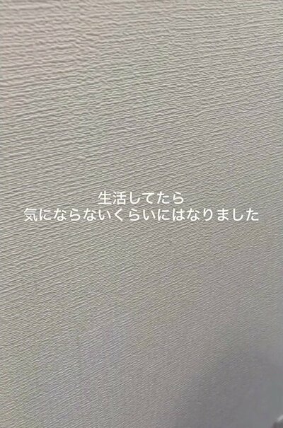 変身後の補修した壁