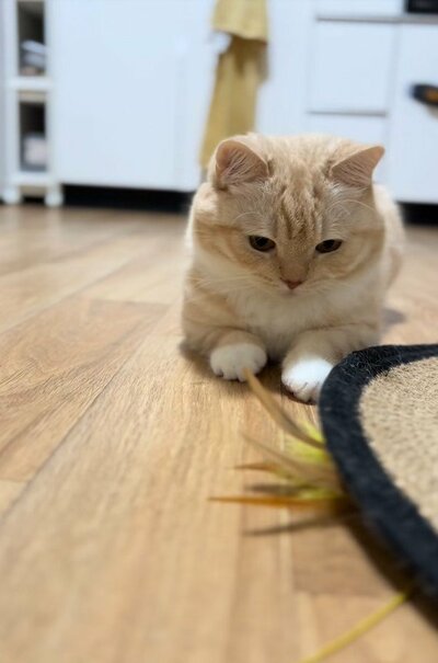 投稿動画のワンシーン