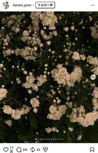 栗原はるみのInstagram投稿