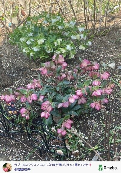 假屋崎省吾の公式ブログ投稿