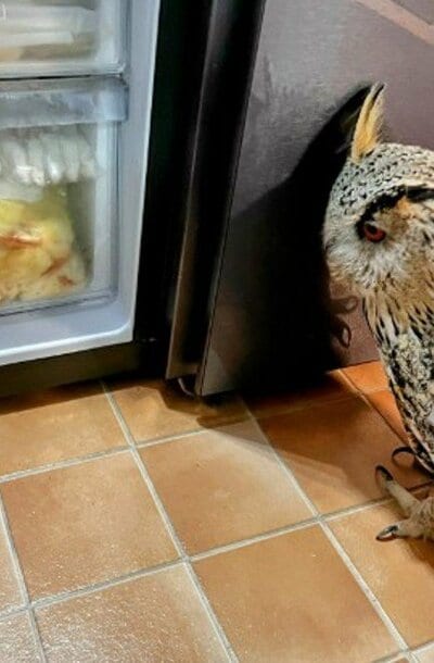 投稿写真のワンシーン