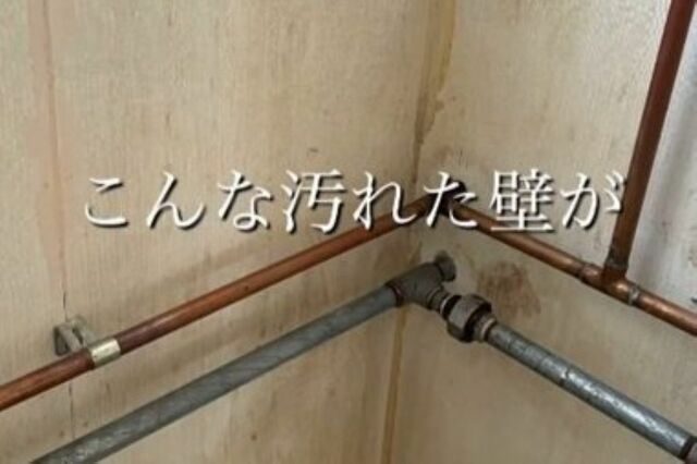 【中古戸建DIY】シミや汚れの目立つ〈壁〉　子どもと楽しみながら〈明るく綺麗な漆喰壁〉が完成