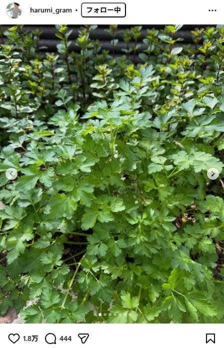 出所：栗原はるみのInstagram（＠harumi_gram）　参照日：2025年3月25日