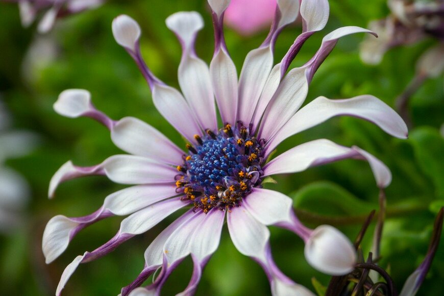 Alika Obrazovskaya/istockphoto.com