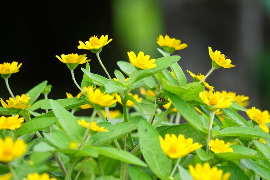 Mangkelin/istockphoto.com