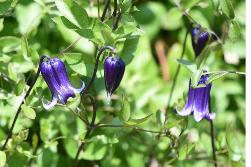 undefined undefined/istockphoto.com