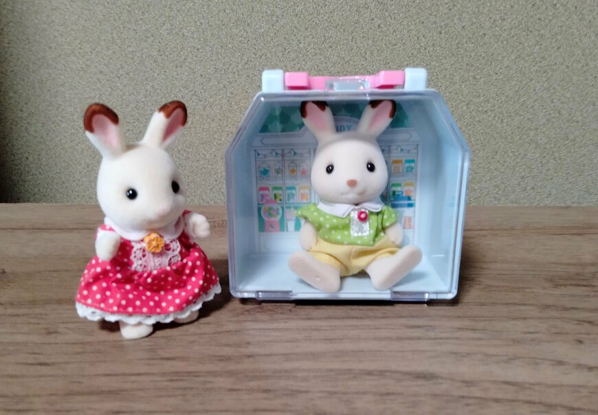 筆者撮影（セリア、おうち型ケース スイーツショップ）