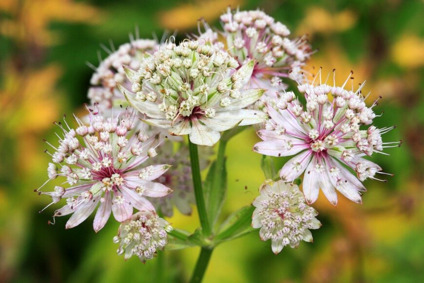 Mayerberg/istockphoto.com