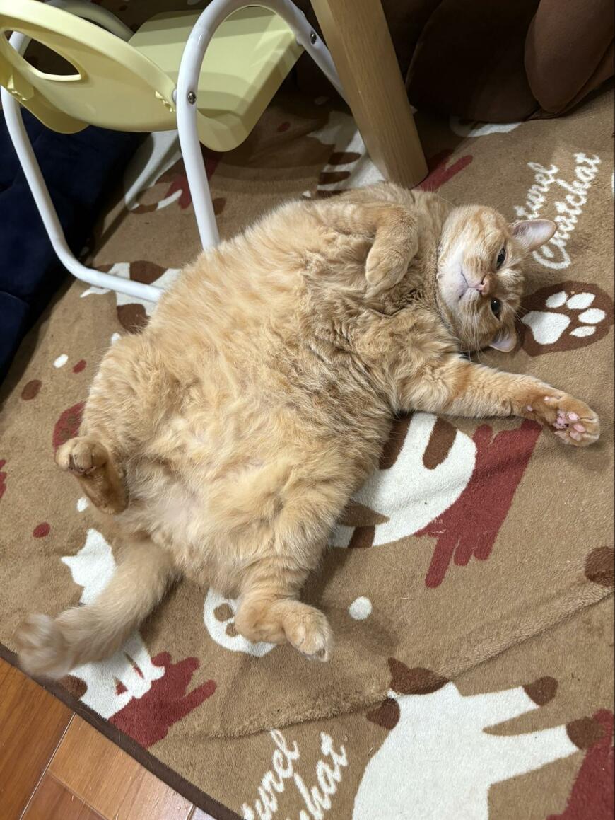 出所：@kagisuzu0531