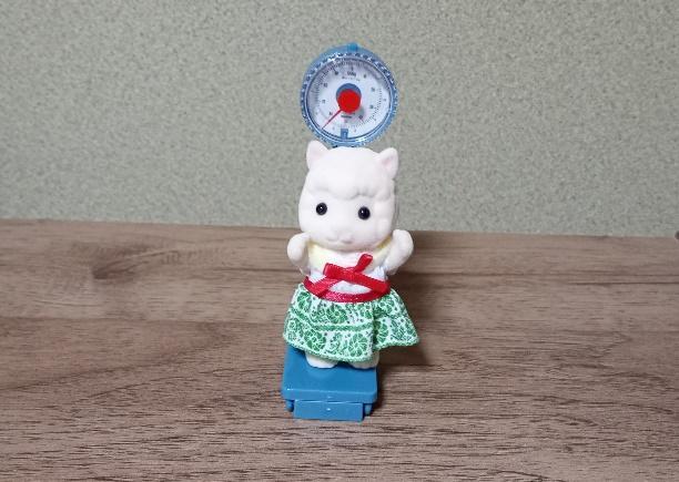 出所：筆者撮影（セリア、ミニチュア体重計）