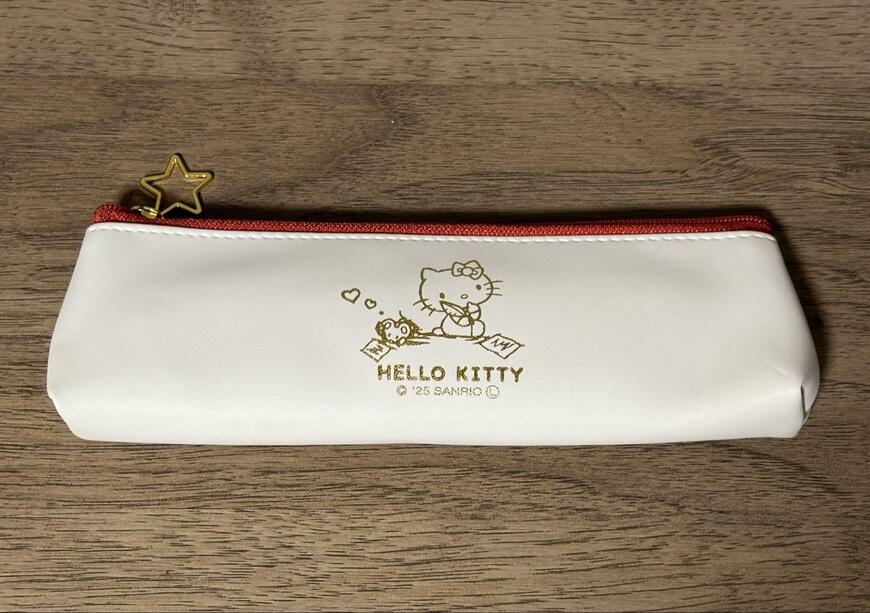 筆者撮影（ダイソー、合皮スリムペンケース　キティ）