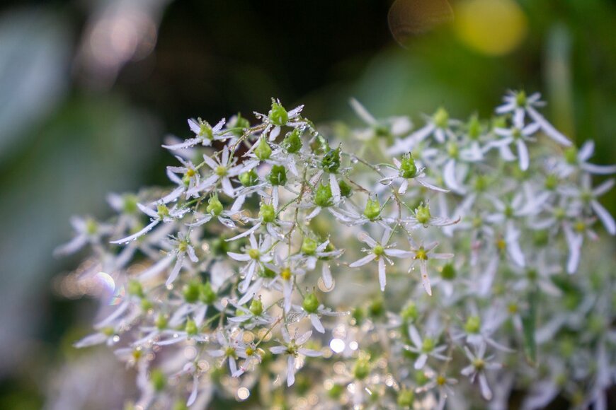 goriyan/shutterstock.com