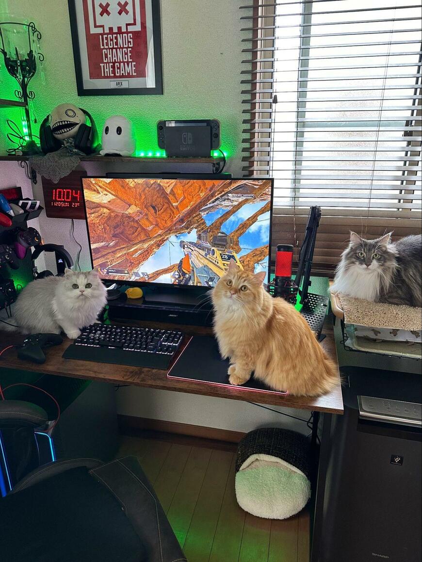 出所：@NEKOLAND13