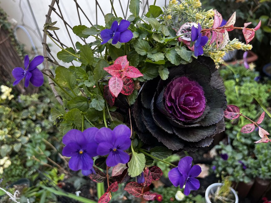 LIMOガーデニング部撮影