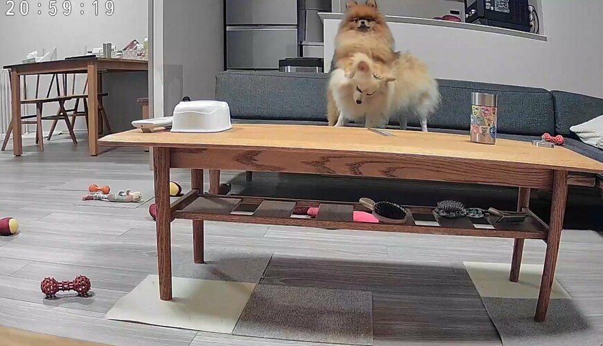 出所：@mirumo__pon