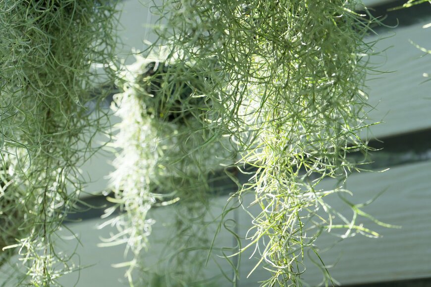 Chun photographer/Shutterstock.com