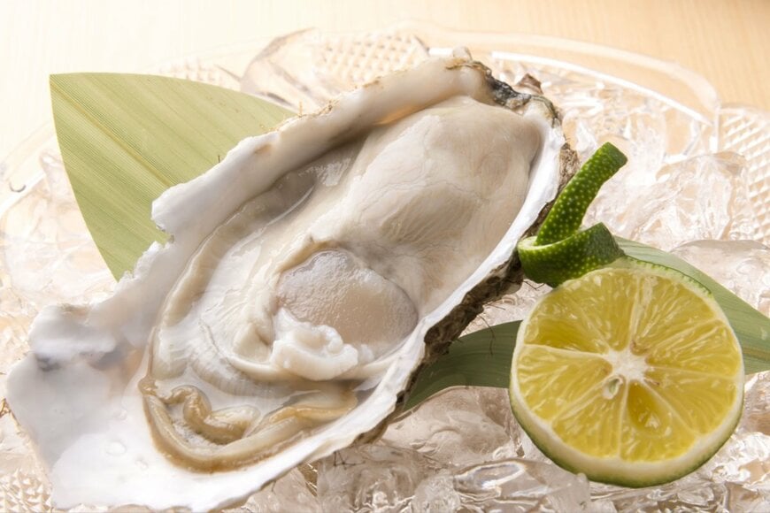 後期高齢シニア《75歳以上》夫婦世帯のリアルな家計簿。ひと月の生活費・年金・貯蓄、みんなの平均いくら？