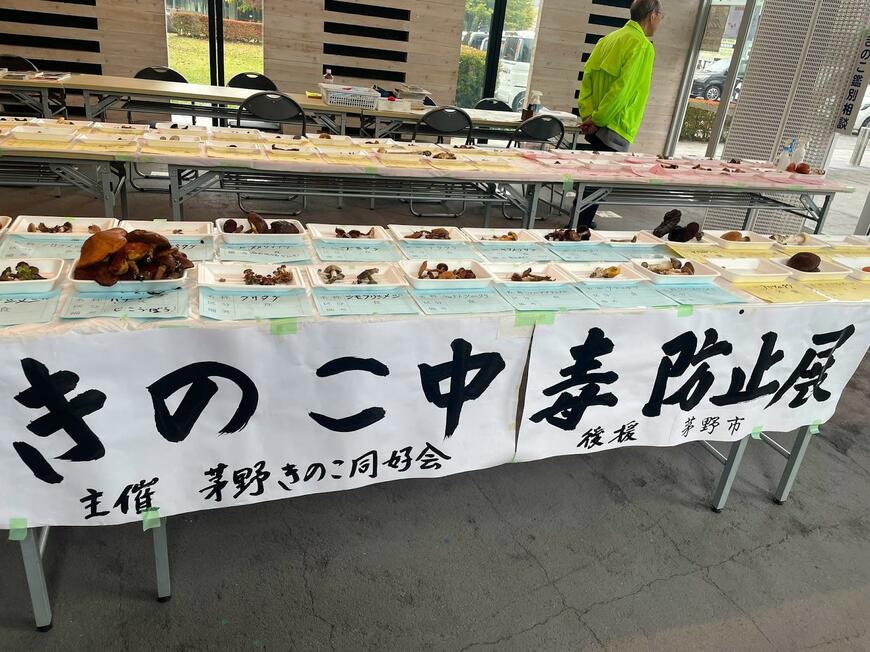 出所：@lonely_planet_