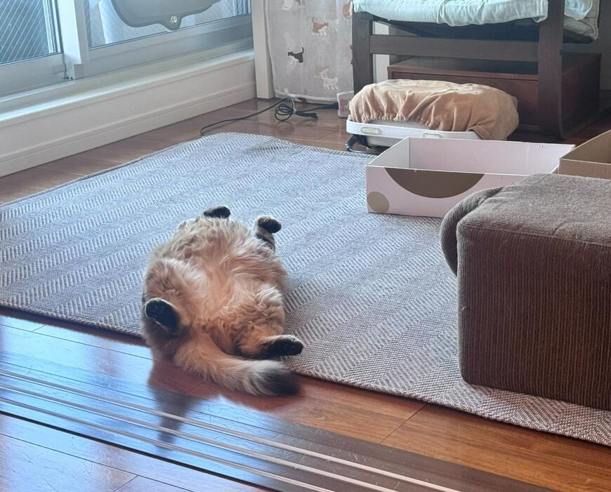 出所：@onigiri_kuri