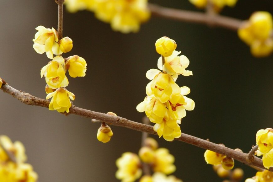 ikwc_exps/shutterstock.com