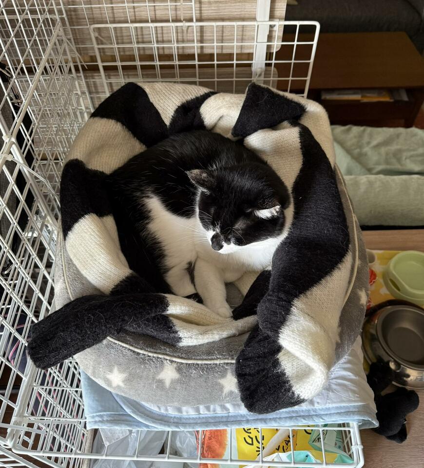 出所：@00shitemita