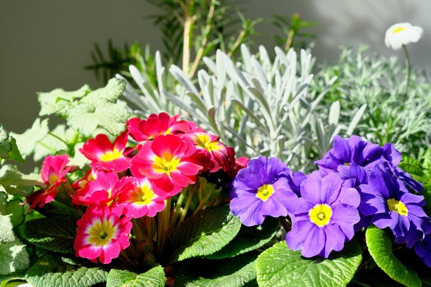 stockt0_0/Shutterstock.com