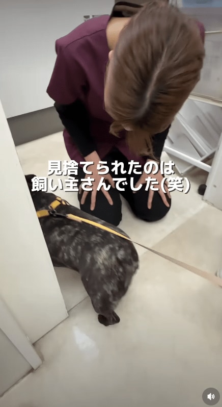 @idea_animal_hospital