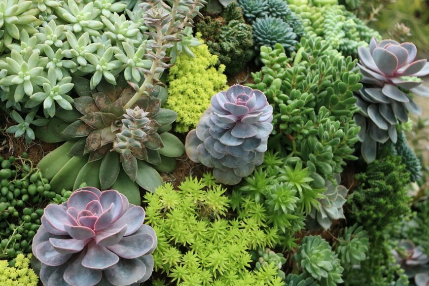 Lin Yun Heng/shutterstock.com