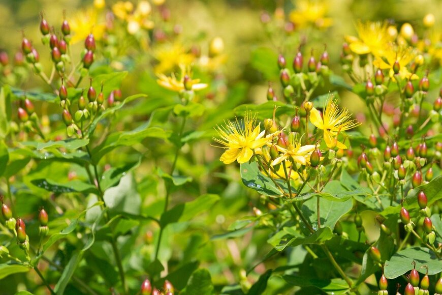 sasimoto/istockphoto.com