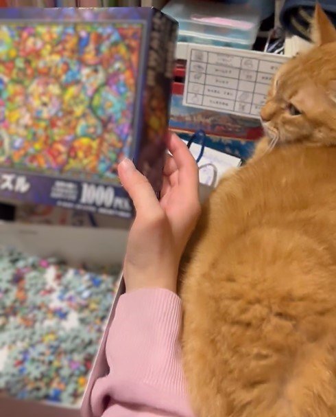 出所：@kagisuzu0531