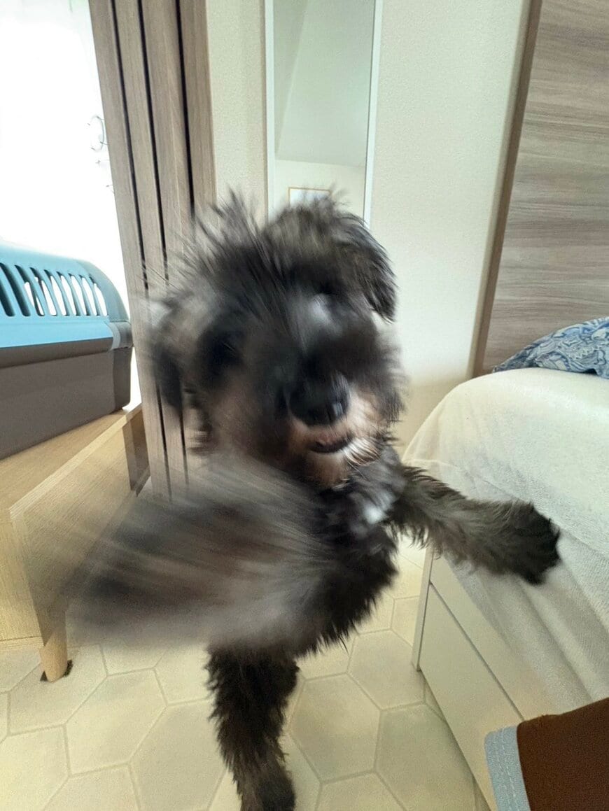 出所：@seven__schna