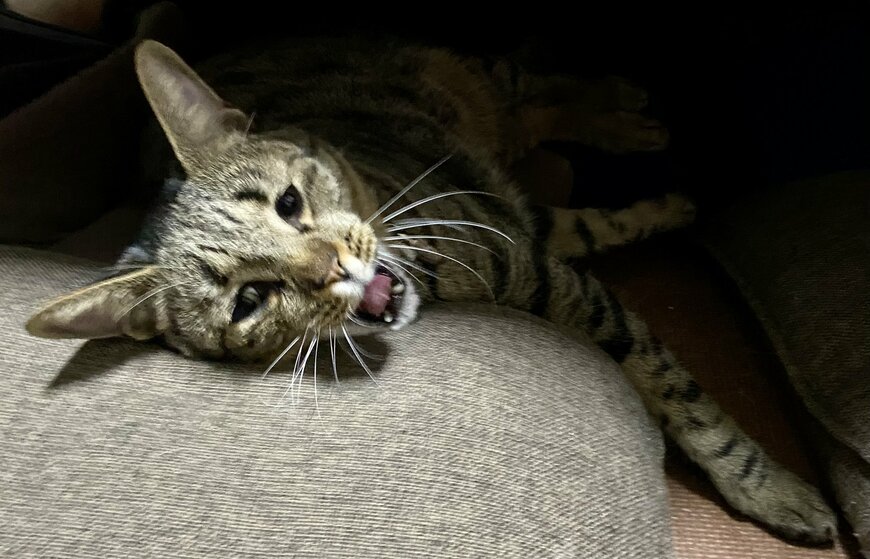 出所：@luna7taka9