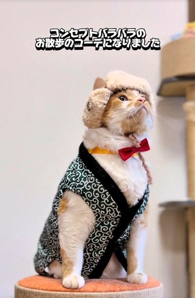 出所：＠monburan_sanpo