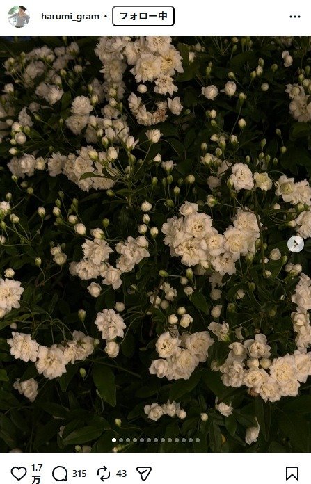 出所：栗原はるみのInstagram（＠harumi_gram） 参照日：2026年4月13日